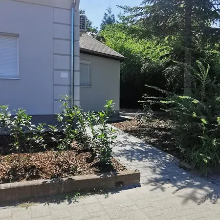 Koezponti Kucko *